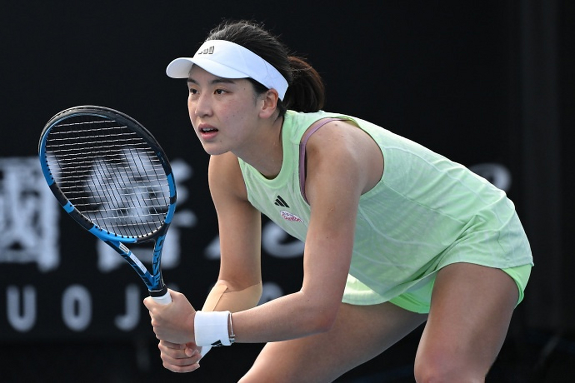 提供了科学 提供了科学